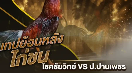 เทปไก่ชน โชคชัยวิทย์ VS ป.ปานเพชร 09 กุมภาพันธ์ 2568