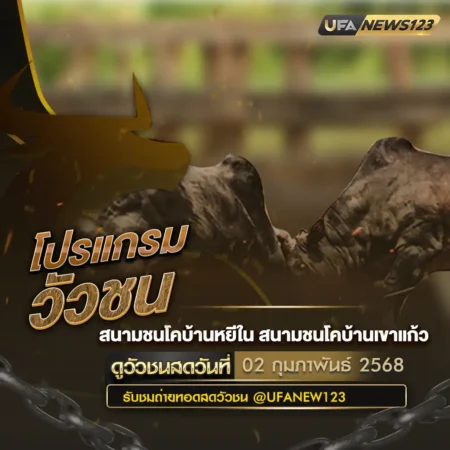 โปรแกรมวัวชน 02 กุมภาพันธ์ 2568