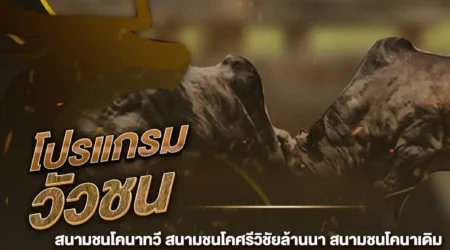 โปรแกรมวัวชน 09 กุมภาพันธ์ 2568