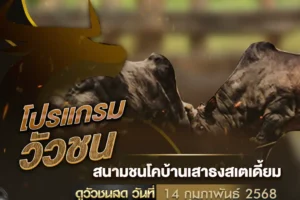 โปรแกรมวัวชน 14 กุมภาพันธ์ 2568