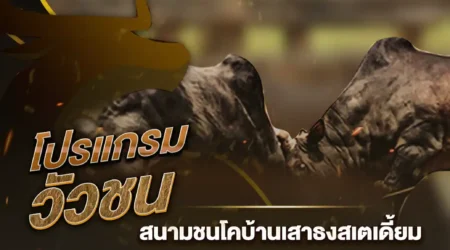 โปรแกรมวัวชน 14 กุมภาพันธ์ 2568