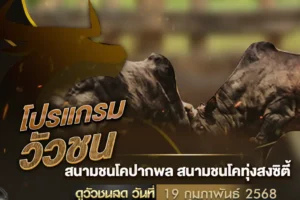 โปรแกรมวัวชน 19 กุมภาพันธ์ 2568
