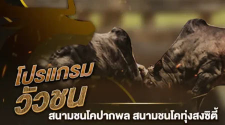 โปรแกรมวัวชน 19 กุมภาพันธ์ 2568