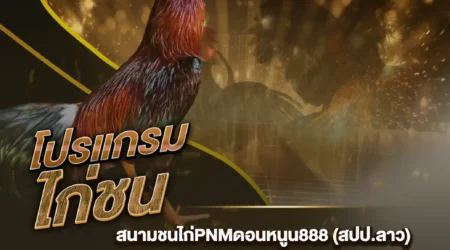 โปรแกรมไก่ชน 04 กุมภาพันธ์ 2568