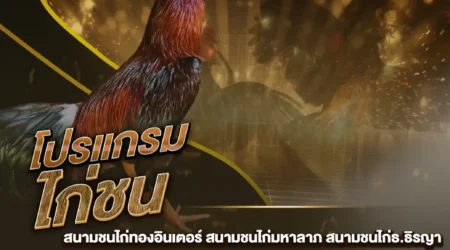 โปรแกรมไก่ชน 08 กุมภาพันธ์ 2568
