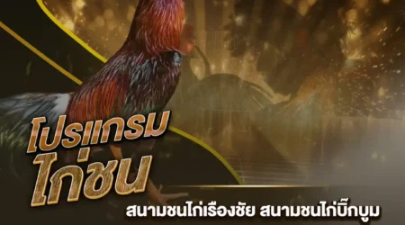โปรแกรมไก่ชน 09 กุมภาพันธ์ 2568