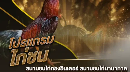 โปรแกรมไก่ชน 15 กุมภาพันธ์ 2568