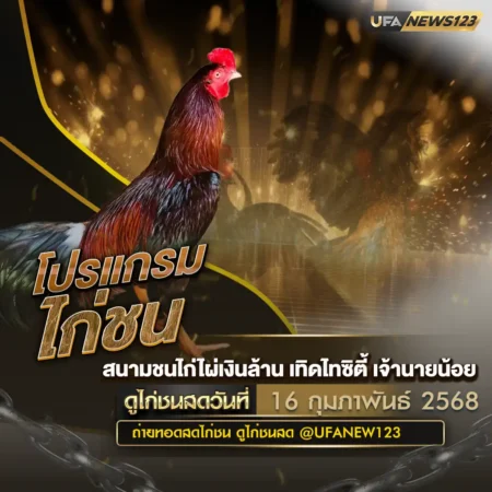 โปรแกรมไก่ชน 16 กุมภาพันธ์ 2568
