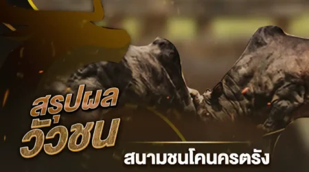 ผลวัวชน 05 มีนาคม 2568