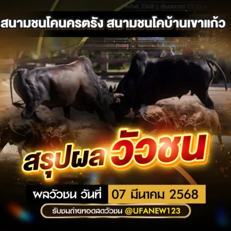 ผลวัวชน 07 มีนาคม 2568