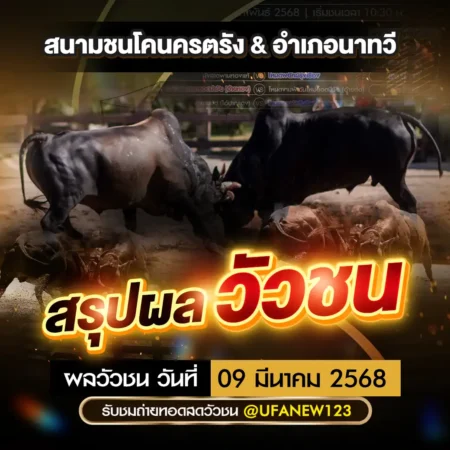 ผลวัวชน 09 มีนาคม 2568