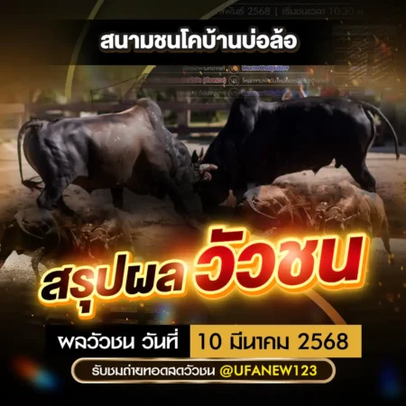 ผลวัวชน 10 มีนาคม 2568
