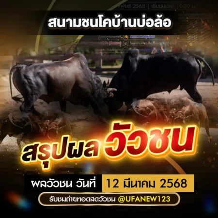 ผลวัวชน 12 มีนาคม 2568
