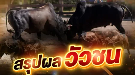 ผลวัวชน 15 มีนาคม 2568