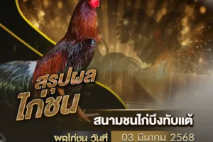 ผลไก่ชน 03 มีนาคม 2568