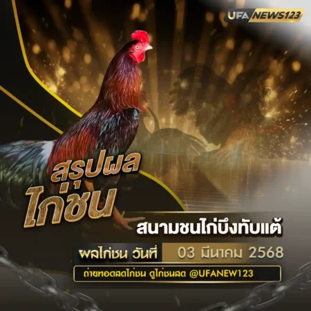ผลไก่ชน 03 มีนาคม 2568