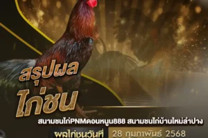 ผลไก่ชน 28 กุมภาพันธ์ 2568