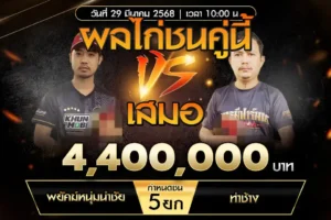 เทปไก่ชน พยัคฆ์หนุ่มนำชัย VS ท่าช้าง 29 มีนาคม 2568