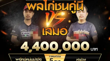 เทปไก่ชน พยัคฆ์หนุ่มนำชัย VS ท่าช้าง 29 มีนาคม 2568
