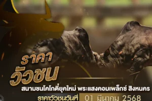 ราคาวัวชน 01 มีนาคม 2568