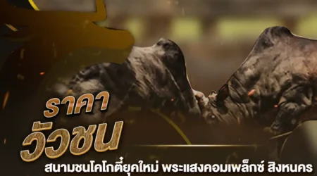 ราคาวัวชน 01 มีนาคม 2568