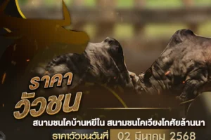 ราคาวัวชน 02 มีนาคม 2568