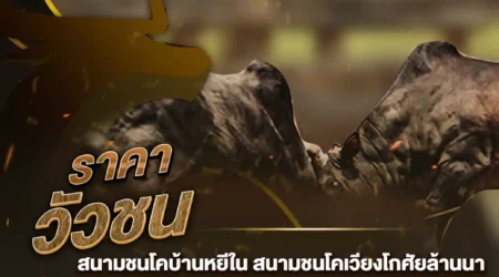 ราคาวัวชน 02 มีนาคม 2568