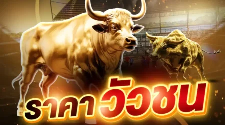 ราคาวัวชน 07 มีนาคม 2568