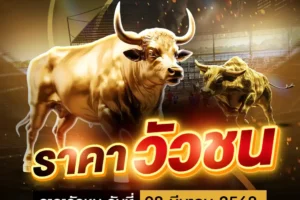 ราคาวัวชน 08 มีนาคม 2568