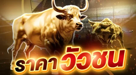 ราคาวัวชน 23 มีนาคม 2568