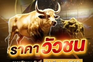 ราคาวัวชน 24 มีนาคม 2568