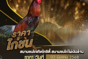 ราคาไก่ชน 02 มีนาคม 2568