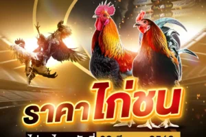 ราคาไก่ชน 09 มีนาคม 2568