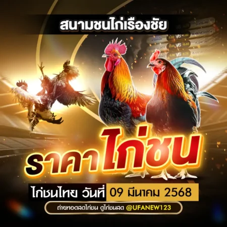 ราคาไก่ชน 09 มีนาคม 2568