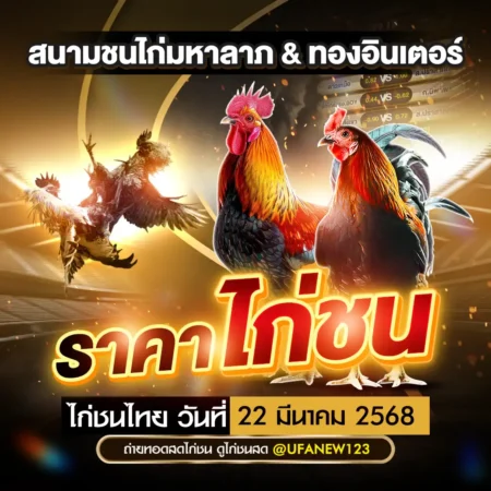 ราคาไก่ชน 22 มีนาคม 2568