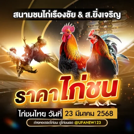 ราคาไก่ชน 23 มีนาคม 2568