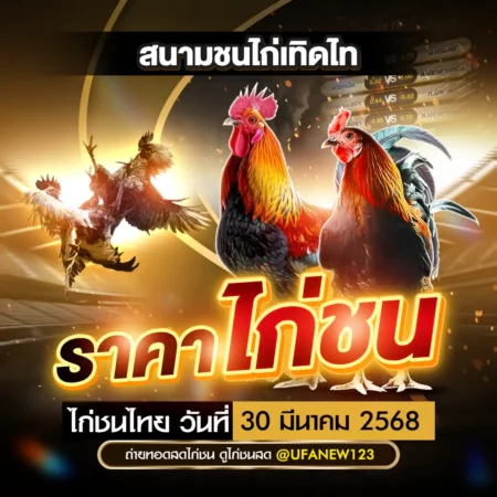 ราคาไก่ชน 30 มีนาคม 2568