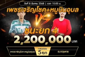 เทปไก่ชน เพชรเจริญโชค VS ส.กฤษกร 08 มีนาคม 2568