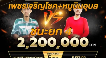 เทปไก่ชน เพชรเจริญโชค VS ส.กฤษกร 08 มีนาคม 2568