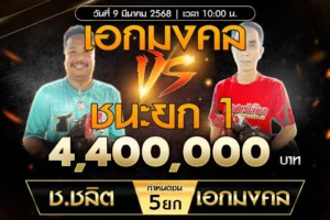 เทปไก่ชน ช.ชลิต VS เอกมงคล 09 มีนาคม 2568