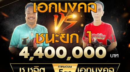 เทปไก่ชน ช.ชลิต VS เอกมงคล 09 มีนาคม 2568