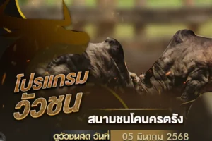 โปรแกรมวัวชน 05 มีนาคม 2568