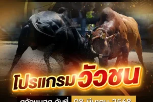 โปรแกรมวัวชน 08 มีนาคม 2568