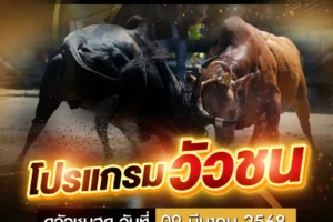 โปรแกรมวัวชน 09 มีนาคม 2568