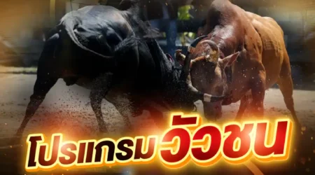 โปรแกรมวัวชน 09 มีนาคม 2568