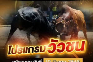 โปรแกรมวัวชน 10 มีนาคม 2568