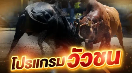 โปรแกรมวัวชน 17 มีนาคม 2568