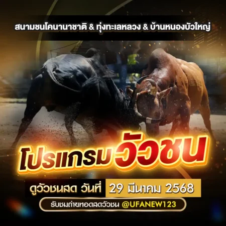 โปรแกรมวัวชน 29 มีนาคม 2568