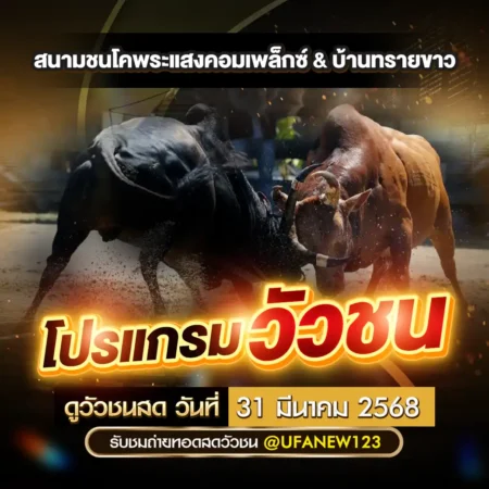 โปรแกรมวัวชน 31 มีนาคม 2568