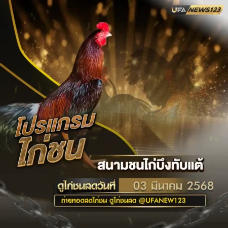 โปรแกรมไก่ชน 03 มีนาคม 2568